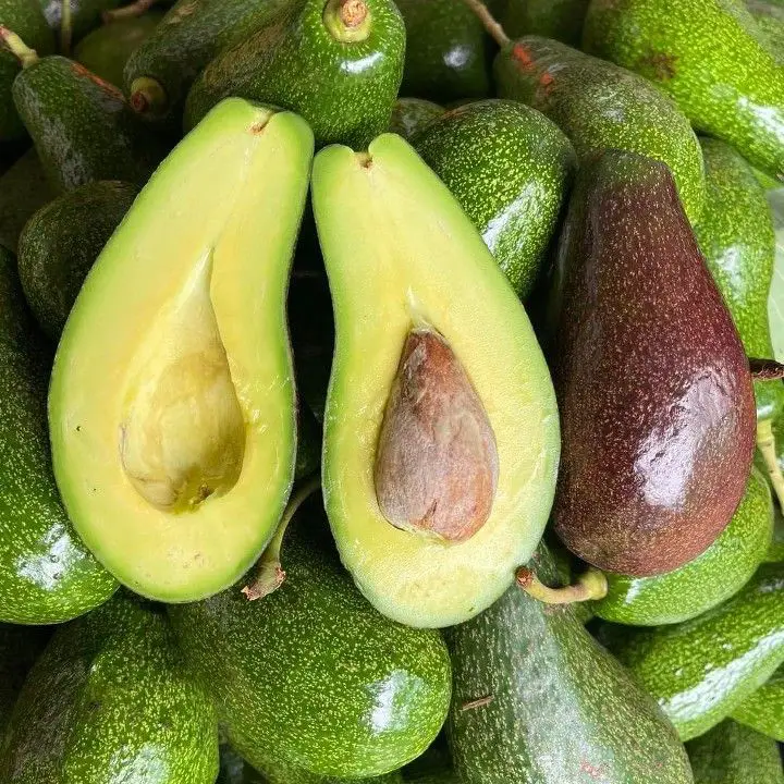 Avocado Export from Kenya to Dubai