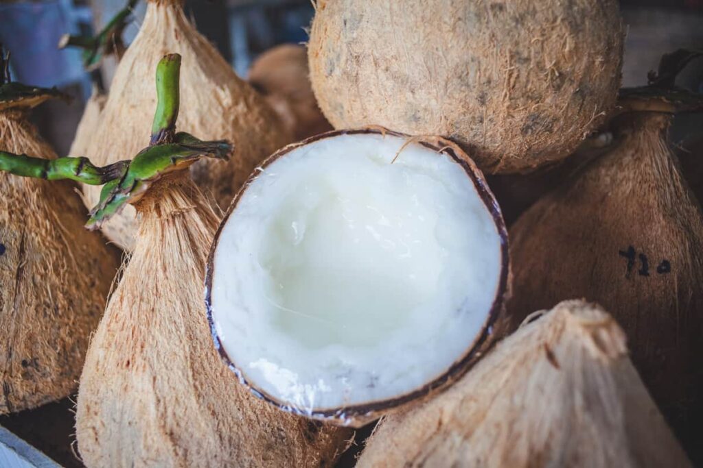 Coconut Export from Kenya to Dubai