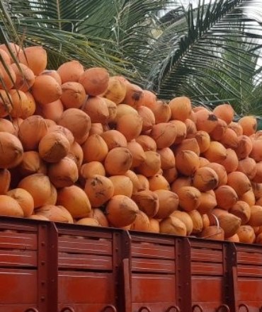 Export from Kenya to Dubai