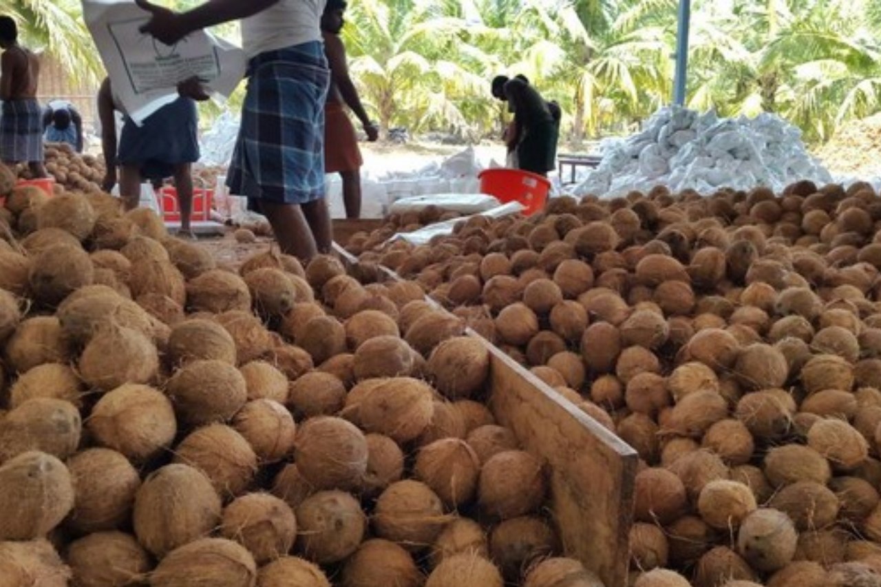 Coconut Export from Kenya to Dubai